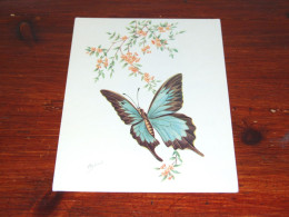 76541- VLINDERS / BUTTERFLIES / PAPILLONS / SCHMETTERLINGE / FARFALLAS / MARIPOSAS / UNUSED CARD - Schmetterlinge