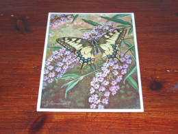 76572- VLINDERS / BUTTERFLIES / PAPILLONS / SCHMETTERLINGE / FARFALLAS / MARIPOSAS / UNUSED CARD - Schmetterlinge