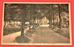 Genval Les Eaux      -  Argentine Hôtel - Drève Des Charmes - Rixensart