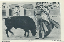 Corrida De Toros Une Demie Veronica - Corrida