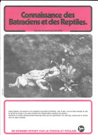 Chocolat POULAIN : Connaissance Des Batraciens Et Des Reptiles Avec 24 Chomos Collés - Poulain