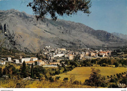 20 . N°kri10384  . Corte  . Vue Generale De La Ville   . N°20.096.80  .  Edition  La Cigogne . Cpsm 10X15 Cm . - Corte