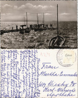 Ansichtskarte Wunstorf Anleger - Boote 1956 - Wunstorf