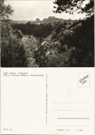 Kirnitzschtal-Sebnitz Sachsen Kirnitzschtal Landschafts-Panorama DDR AK 1973 - Kirnitzschtal