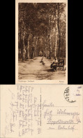 Ottensen-Hamburg Stadtpark, Parkweg - Birken Mutter Und Kind Auf Bank 1922 - Altona