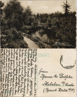 Ansichtskarte Mühlhausen (Thüringen) Goldfischteich Im Stadtpark 1930 - Mühlhausen