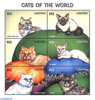 Lesotho 1998 Cats 6v M/s, Mint NH, Nature - Cats - Lesotho (1966-...)