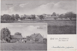 Auschkowitz-Burkau (Oberlausitz) Wučkecy Porchow Gasthaus Und Panorama 1914 - Burkau