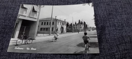 CARTOLINA CARBONERA - VIA ROMA- VERA FOTOGRAFIA- ANNI 50- NON VIAGGIATA - Treviso