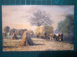 CARTE POSTALE, Art, Fragments De La Vie Rurale De L'Homme Et De La Femme Du Pays. Tâches Agraires, Folklore Et Coutumes - Farms