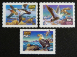 RUSIA 1993 - AVES - PAJAROS MARINOS - YVERT 6005/6007** - Unused Stamps