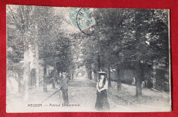 CPA -  Meudon - Avenue Jacqueminot - Meudon