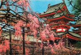 Japon - Kyoto - The Heian-Jingu Shrine - Nippon - Japan - CPM - Voir Timbre - Voir Scans Recto-Verso - Kyoto