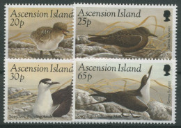 Ascension 1994 Vögel Rußseeschwalbe 645/48 Postfrisch - Ascensione