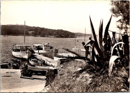 (22/05/24) 83-CPSM ILE DE PORQUEROLLES - Porquerolles