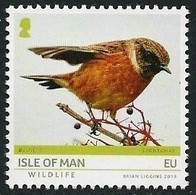 ISLE Of MAN 2019 - EUROPA 2019 - WILDLIFE -"AVES - BIRDS  - VÖGEL - OISEAUX"-  SERIE De 1 TIMBRE - 2019