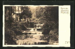 AK Tegernsee, Prinzenweg Im Alpbachtal  - Tegernsee