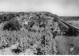 POUILLY SUR LOIRE - Les Loges - Vue Générale - Très Bon état - Pouilly Sur Loire