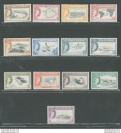 1956 ASCENSION, Stanley Gibbons N. 57-69, Elisabetta II - Animali E Vedute, 13 Valori - MNH** - Other & Unclassified