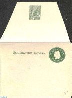 Argentina 1900 Letter Sheet 5c Memorandum Postal, Unused Postal Stationary, Stamps On Stamps - Lettres & Documents