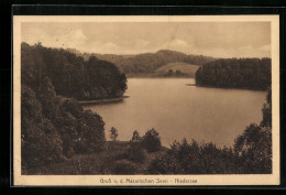 AK Niedersee, Gruss V. D. Masurischen Seen  - Ostpreussen