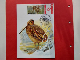 Carte Maximum Oiseaux André Buzin Bécassine Des Marais Avec Duostamp 09.08.2003 - 1985-.. Oiseaux (Buzin)