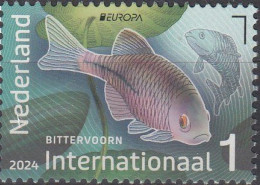 NETHERLANDS 2024 Europa CEPT. Underwater Fauna & Flora - Fine Stamp MNH - Ungebraucht