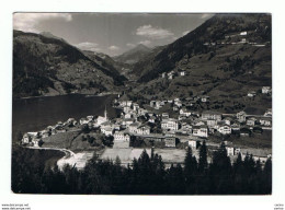 ALLEGHE:  PANORAMA  VERSO  IL  COL  DI  LANA  -  FOTO  -  FG - Belluno