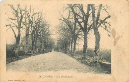 71 - LOUHANS - LES PROMENADES - Louhans