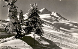 Parsenn-Abfahrt - Weissfluhjoch-Küblis (94) * 2. 3. 1961 - Davos