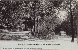 FRANCE - Bois De Vincennes - St Mandé - Vue Prise Du Champignon - Animé - Vue Générale - Carte Postale Ancienne - Saint Mande