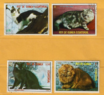 Timbre Guinée Equatoriale (chats) - Equatorial Guinea