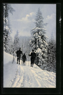 AK Drei Skiläufer Auf Einem Waldweg Mit Tannen  - Winter Sports