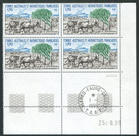 TAAF - N°149  - ILE AMSTERDAM - 4 BLOCS DE 4 - COIN DATE 25.8.89  OBLITERES EN MARGE - Usados