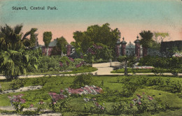 PC AUSTRALIA STAWELL CENTRAL PARK, Vintage Postcard (b53810) - Autres & Non Classés