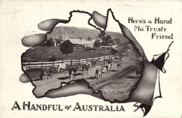 PC AUSTRALIA MILKING TIME COWS ON THE ROAD, Vintage Postcard (b53780) - Other & Unclassified