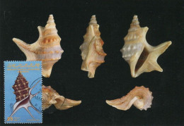 LIBYA 1985 Shells "Aporrhaidae" (maximum-card) #10 - Conchiglie