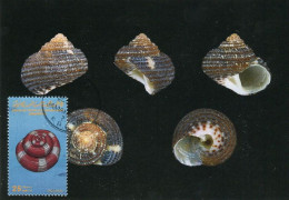 LIBYA 1985 Shells "Trochidae" (maximum-card) #11 - Conchiglie