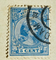 Pays-Bas 1891 - Cheveux Suspendus De Type Reine Wilhelmina, Avec Défauts De Plaque - Used Stamps