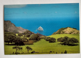 Napoleon Island St Helene - Saint Helena Island