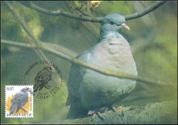 CM/MK° - 3069 - Pigeon Colombin / Holenduif / Stock Taube - Charleroi - 04-05-2002 - BUZIN - 1985-.. Birds (Buzin)