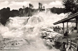 SUISSE - Rheinfall Mit Fischetz - Animé - Carte Postale - Neuhausen Am Rheinfall