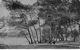 CARQUEIRANNE - Un Sous Bois - état - Carqueiranne