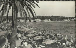 Les Sablettes - La Plage - Vue Sur Saint-Elme - (P) - La Seyne-sur-Mer