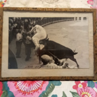 Carte Postale Taureau ''Vovo Sur Blanchet'' - Corrida