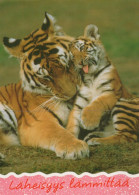 TIGRE GRANDE GATTO Animale Vintage Cartolina CPSM Unposted #PAM026.IT - Tigres