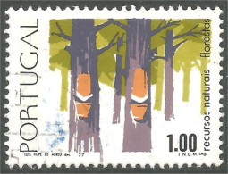 XW01-2502 Portugal Natural Resources Pin Pine Arbre Tree Baum Résine Resin Resina - Nature