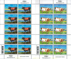 120494 MNH ISLANDIA 2003 GANADO VACUNO - Lots & Serien