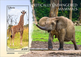 Liberia 2023 Critically Endangered Mammals. Elephants. (303b1) OFFICIAL ISSUE - Elefantes