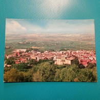 Cartolina Frascati - Panorama. Non Viaggiata - Sonstige & Ohne Zuordnung